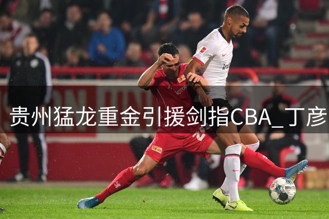 贵州猛龙重金引援剑指CBA 丁彦雨航率队冲击升降级赛